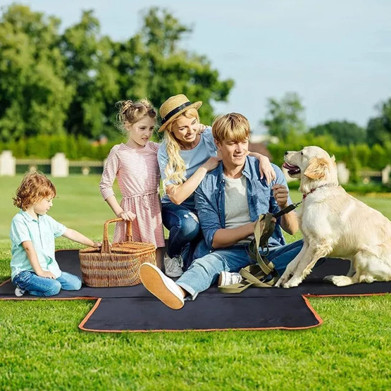 10 Must-Have Dog Accessories Every Pet Owner Should Own